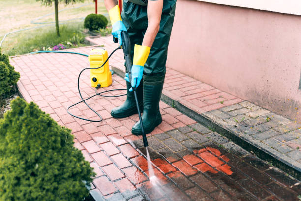 Best Solar Panel Cleaning  in Parkwood, CA